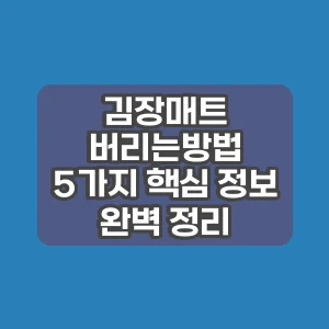 김장매트 버리는방법 | 5가지 핵심 정보 완벽 정리