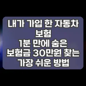 내가 가입 한 자동차 보험 | 1분 만에 숨은 보험금 30만원 찾는 가장 쉬운 방법