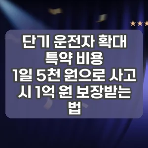 단기 운전자 확대 특약 비용 | 1일 5천 원으로 사고 시 1억 원 보장받는 법
