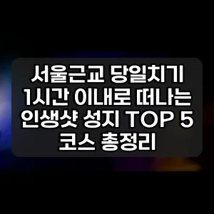 서울근교 당일치기 | 1시간 이내로 떠나는 인생샷 성지 TOP 5 코스 총정리