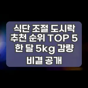 식단 조절 도시락 추천 순위 TOP 5 한 달 5kg 감량 비결 공개