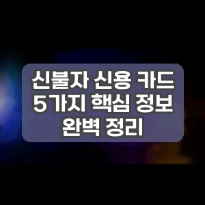 신불자 신용 카드 | 5가지 핵심 정보 완벽 정리