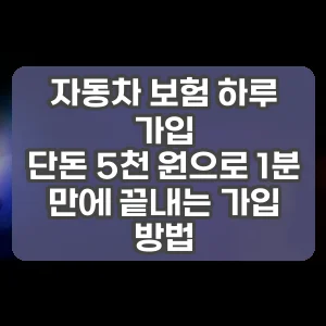 자동차 보험 하루 가입 | 단돈 5천 원으로 1분 만에 끝내는 가입 방법