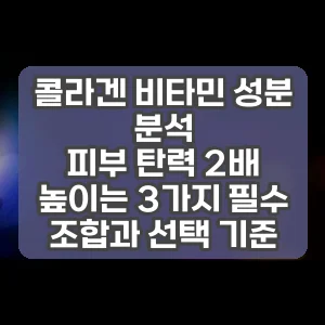 콜라겐 비타민 성분 분석 | 피부 탄력 2배 높이는 3가지 필수 조합과 선택 기준