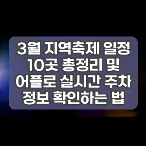3월 지역축제 일정 10곳 총정리 및 어플로 실시간 주차 정보 확인하는 법