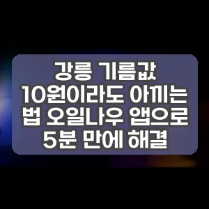 강릉 기름값 10원이라도 아끼는 법 오일나우 앱으로 5분 만에 해결