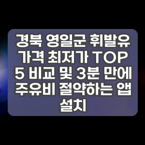 경북 영일군 휘발유 가격 최저가 TOP 5 비교 및 3분 만에 주유비 절약하는 앱 설치