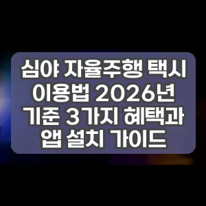 심야 자율주행 택시 이용법 2026년 기준 3가지 혜택과 앱 설치 가이드