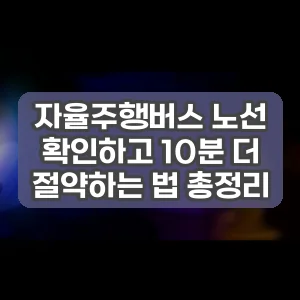 자율주행버스 노선 확인하고 10분 더 절약하는 법 총정리
