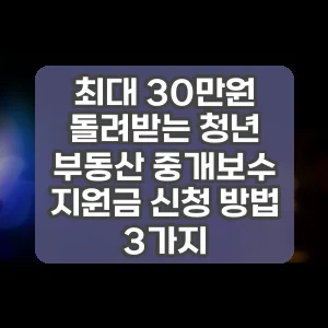 최대 30만원 돌려받는 청년 부동산 중개보수 지원금 신청 방법 3가지